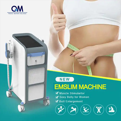 Renasculpt Body Slimming 2024 Neo RF EMS Machine Pelvic Floor Muscle Stimulation EMS Slim Device