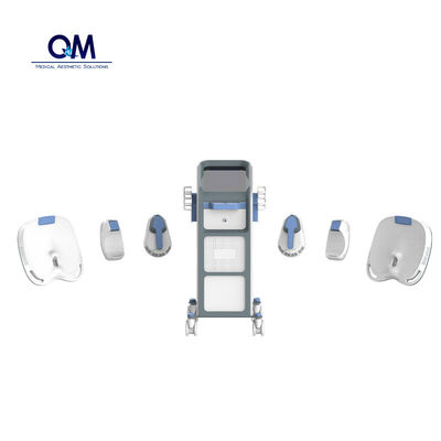 Renasculpt Body Slimming 2024 Neo RF EMS Machine Pelvic Floor Muscle Stimulation EMS Slim Device